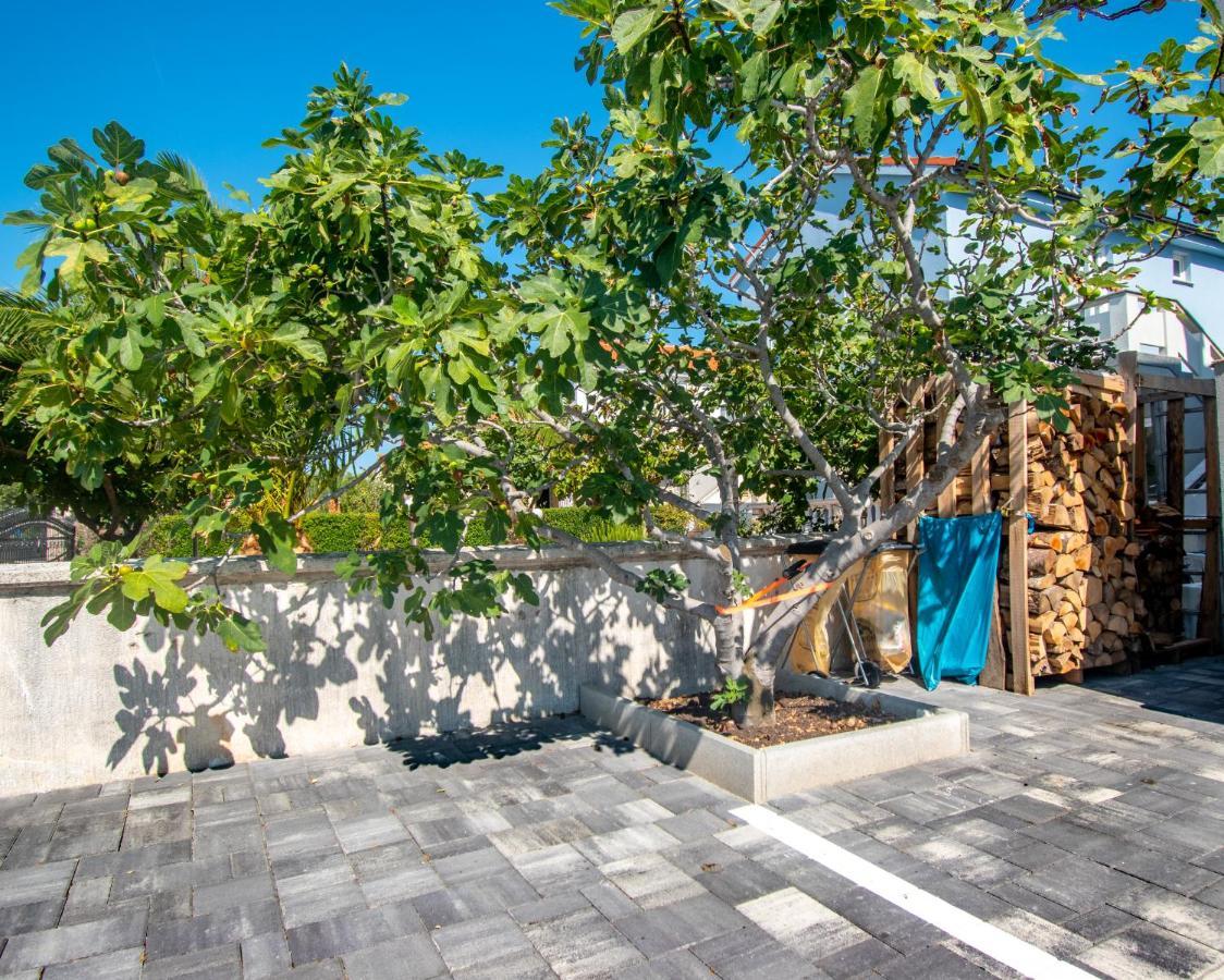 Olea Apartment
